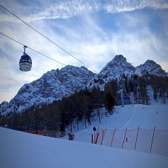 IMG_20211211_114510