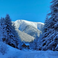 20220111_111456