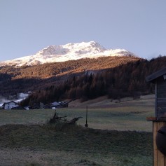 IMG_20221119_080808