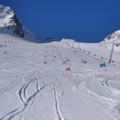 IMG_20221119_095200