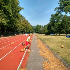 IMG_20190801_100650_HDR